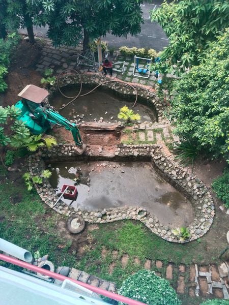 thi cong ho ca koi tại binh tân