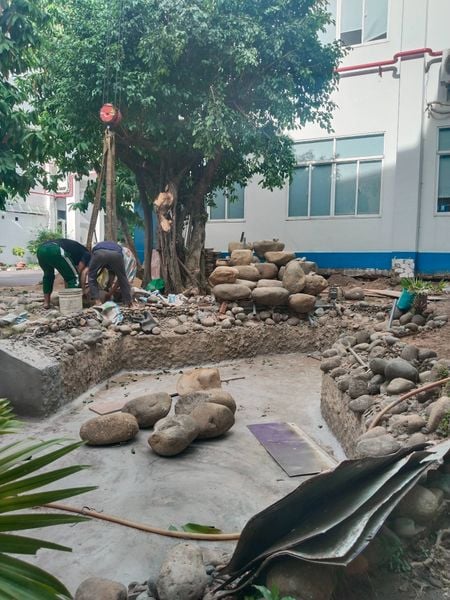 thi cong ho ca koi tại binh tân