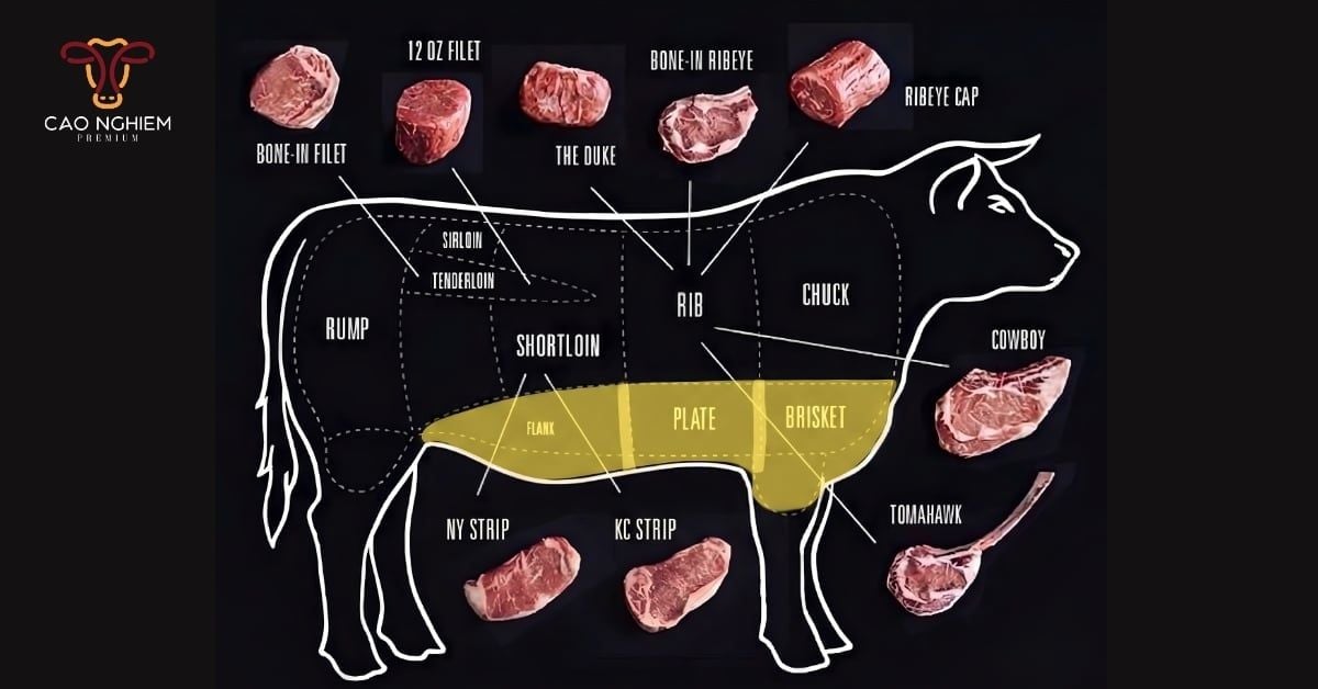 Phân loại các phần nạm bò phổ biến