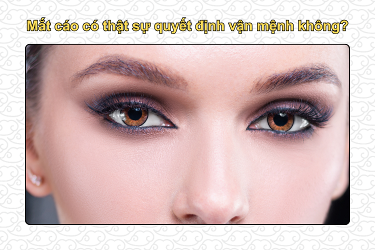 Mắt cáo là người như thế nào? Giải mã tính cách qua nhân tướng học