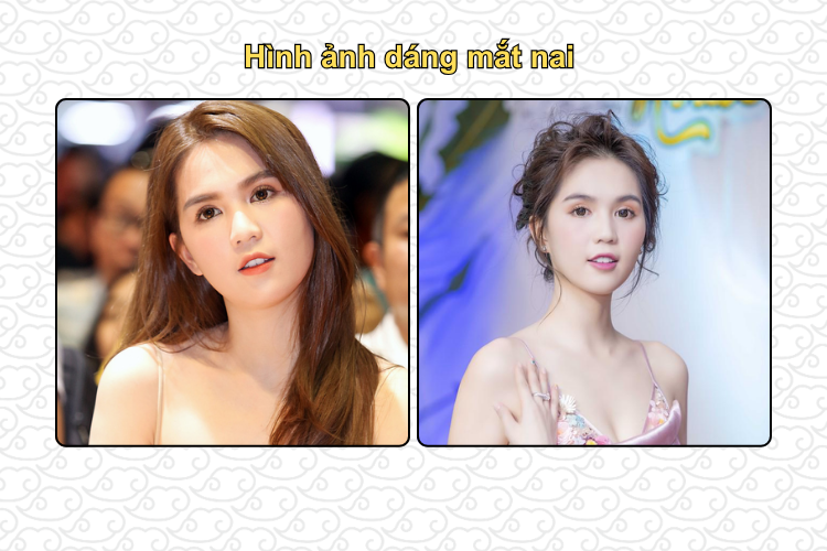 Hình ảnh dáng mắt nai 2
