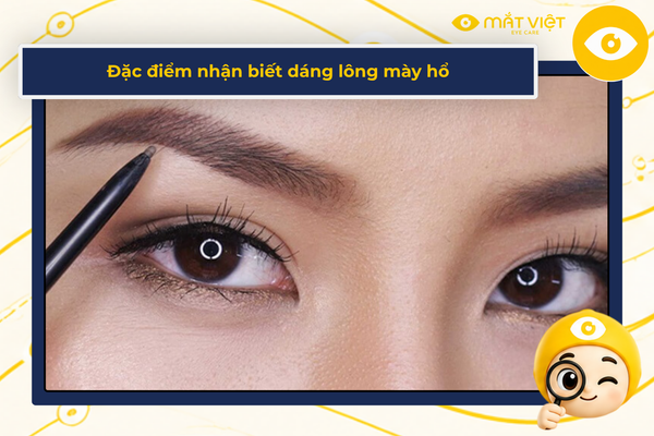 Đặc điểm nhận biết dáng lông mày hổ