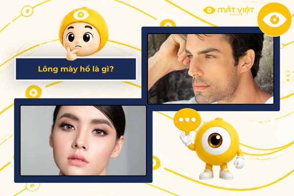 Lông mày hổ là gì?
