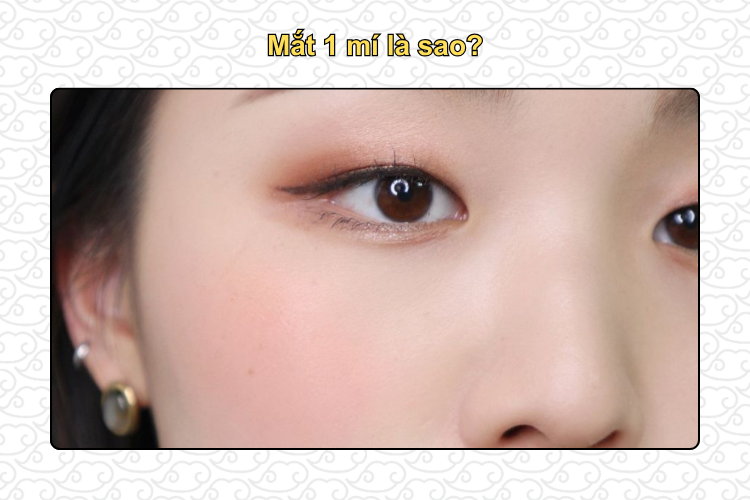 mắt 1 mí là sao