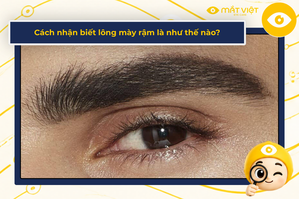 Cách nhận biết lông mày rậm là như thế nào?