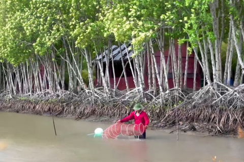 Sản xuất có chứng nhận, nông dân thu lợi kép
