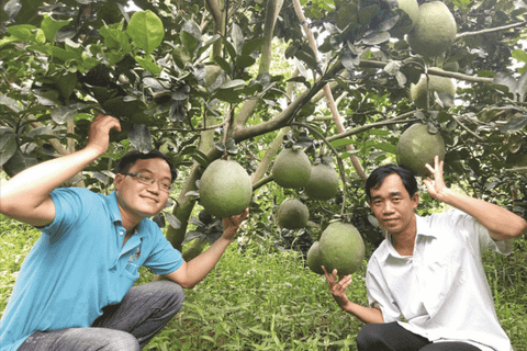 Bước chuyển mình của nông sản trong kỷ nguyên số