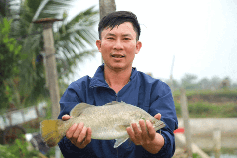 Phát triển kinh tế VAC trong kỷ nguyên xanh và tuần hoàn