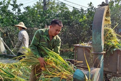 Nông dân chủ động thích ứng - chìa khóa để nông nghiệp phát triển bền vững