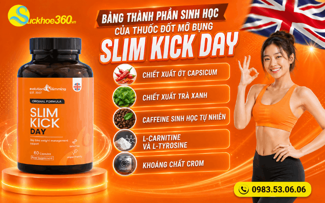Bảng thành phần sinh học của thuốc đốt mỡ bụng Slim Kick Day
