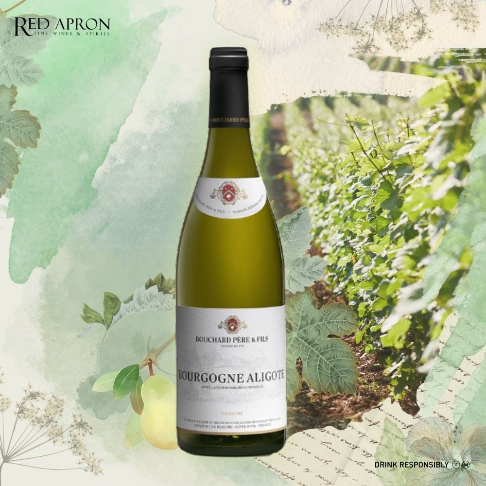 Chai Bouchard Pere & Fils Bourgogne Aligote vang trắng tươi mát