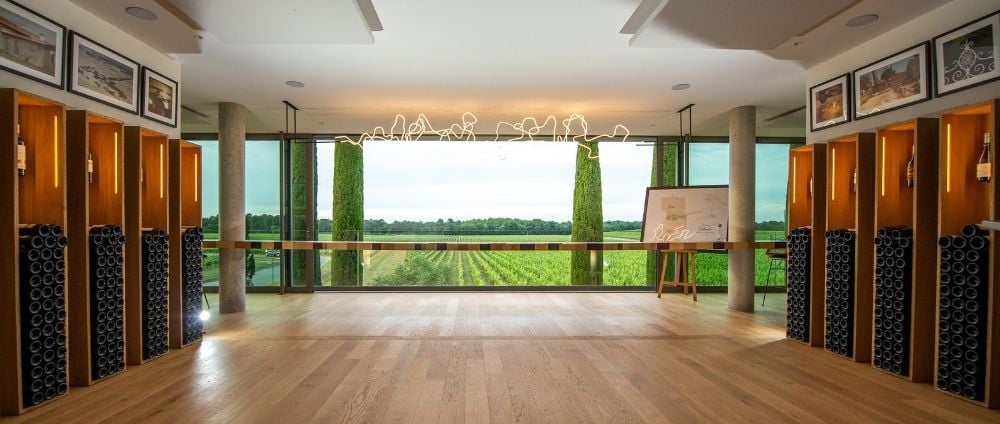 Vườn nho Chateau Clarke ở Listrac-Médoc Bordeaux với thổ nhưỡng đất sét và đá vôi