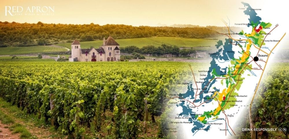 Vườn nho và vị trí địa lý vùng Cote de Beaune thuộc Burgundy, Pháp
