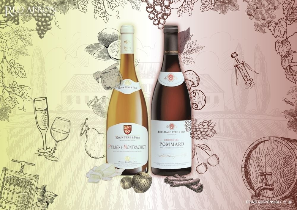 Giống nho Pinot Noir và Chardonnay – nền tảng của rượu vang Cote de Beaune