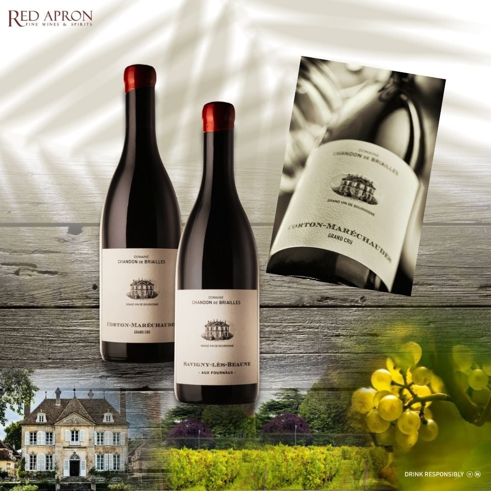 Rượu vang Domaine Chandon de Briailles từ Savigny-lès-Beaune và Corton