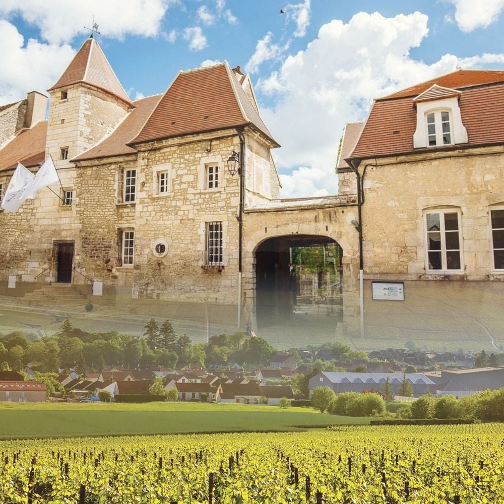 Hầm rượu cổ Obédiencerie của Domaine Laroche tại Chablis