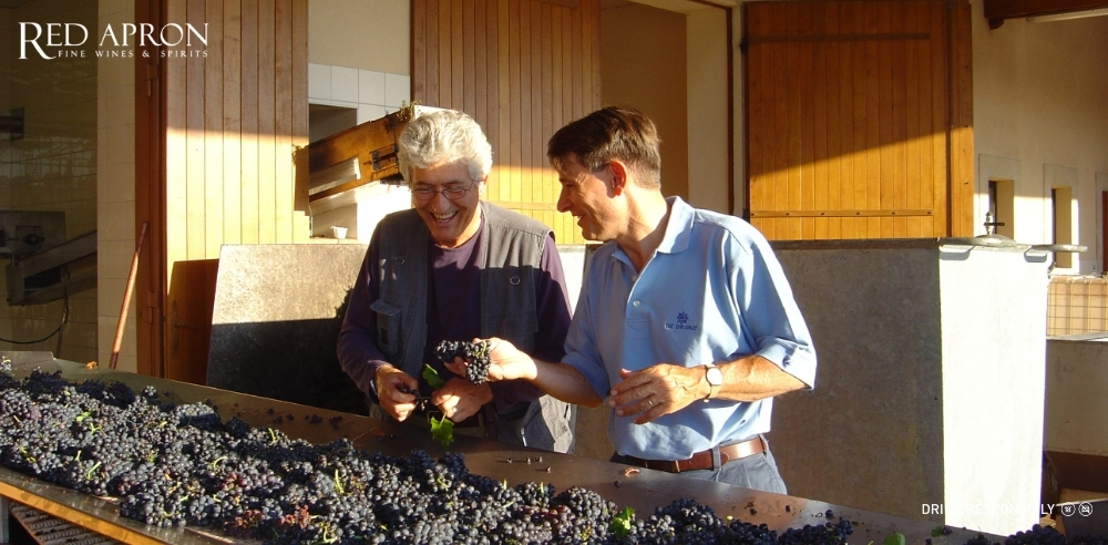 hai chuyên gia rượu vang đang kiểm tra và chọn nho trong thùng lớn tại nhà máy, minh họa bước tuyển chọn nguyên liệu cho rượu vang Maison Louis Jadot mà Red Apron nhập khẩu chính hãng.