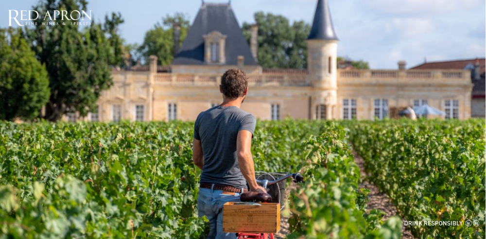 Chai rượu vang Medoc Bordeaux Pháp chất lượng cao tại Red Apron
