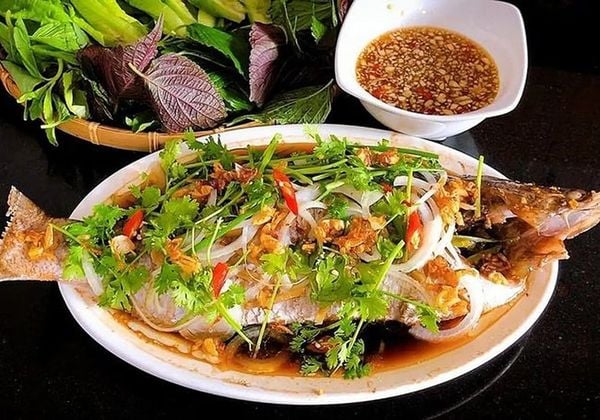 Gợi ý 8 cách làm cá chép hấp ngon giữ vị tự nhiên tại nhà