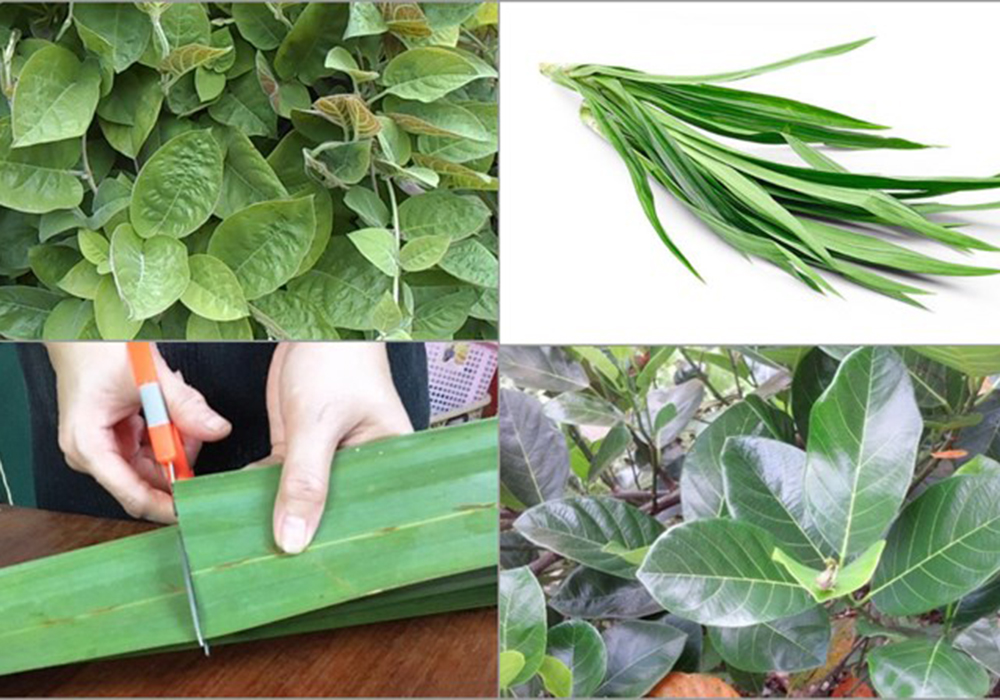 Nguyên liệu và dụng cụ cần có