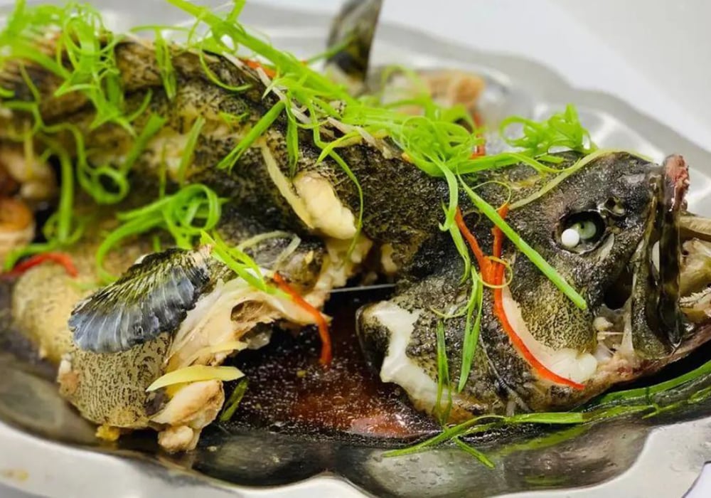 Cá mú hấp gừng hành