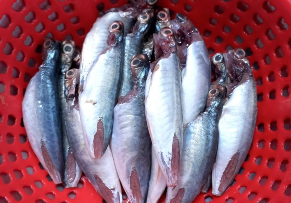 Hướng dẫn chọn mua nguyên liệu tươi ngon