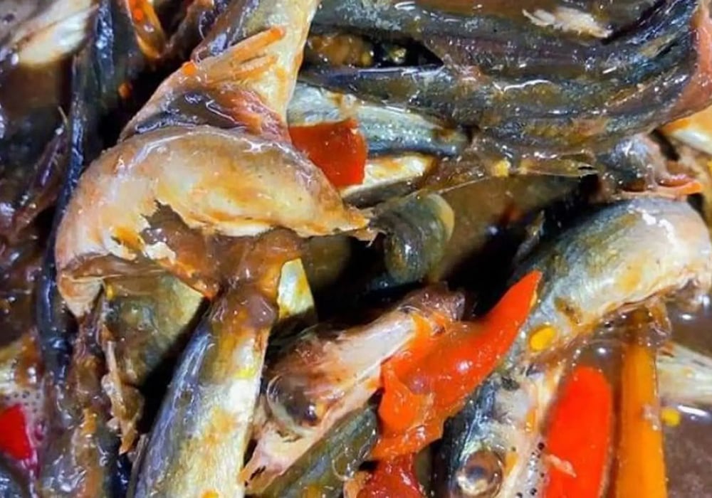 Mắm cá nục