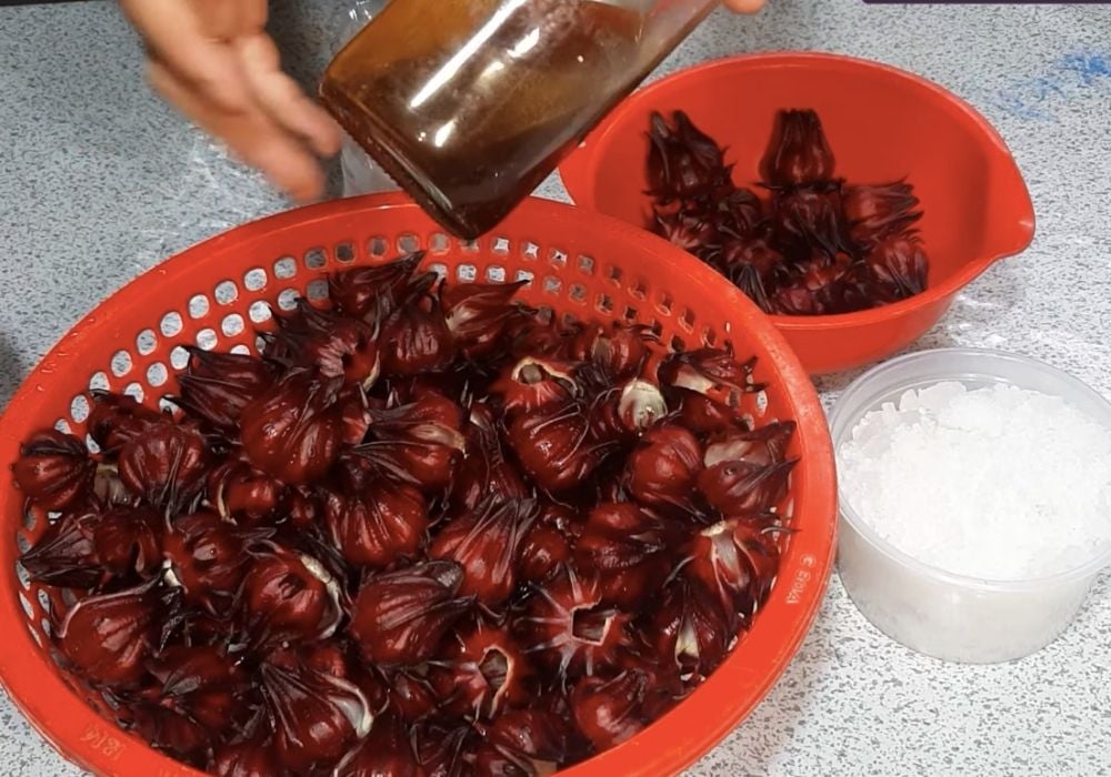 Nguyên liệu làm mứt atiso đỏ