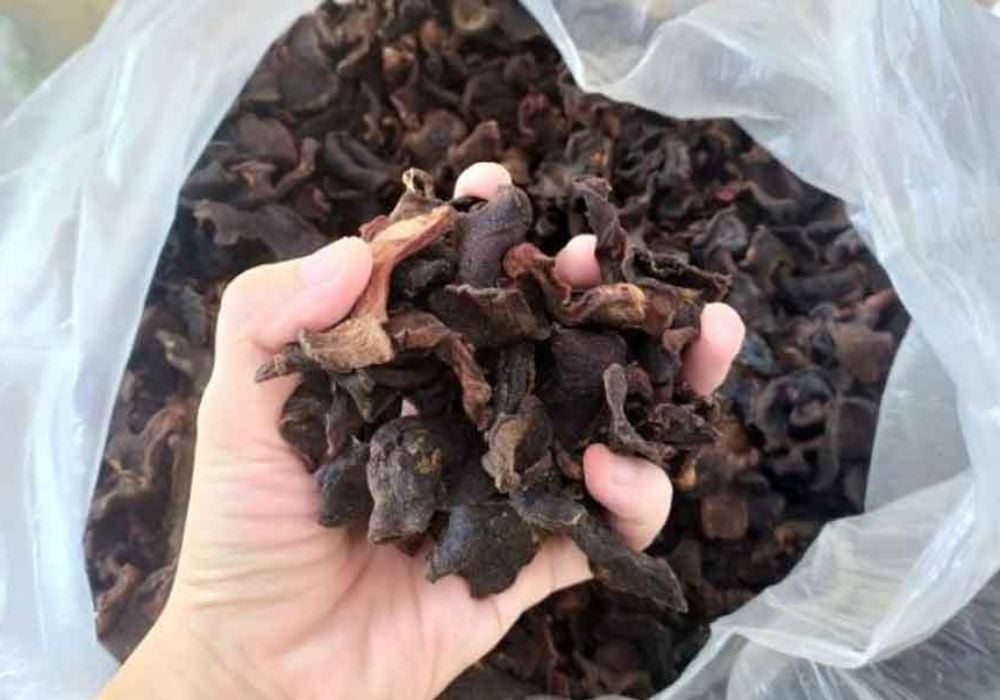 Nấu nước cốt tai chua