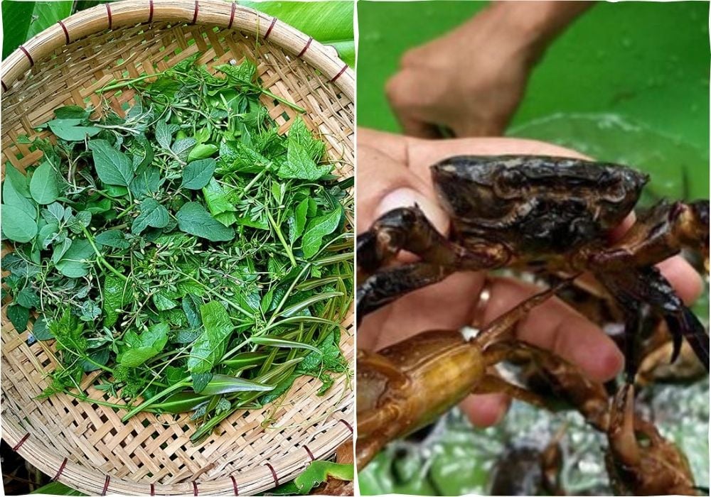 Nguyên liệu làm canh riêu cua tập tàng