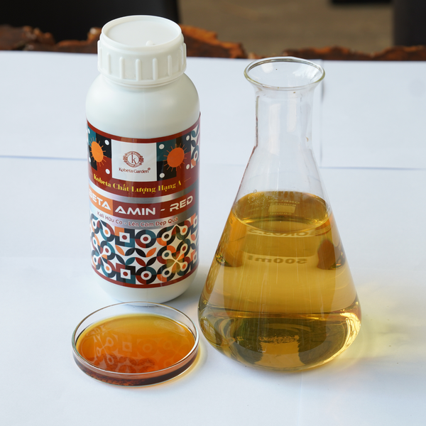 Hình ảnh sản phẩm