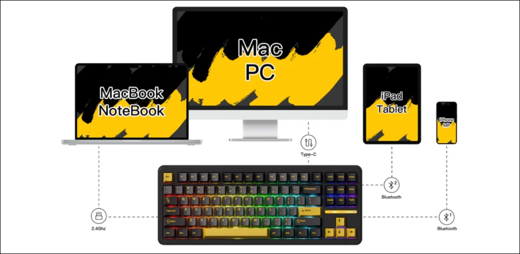 Linh hoạt tối đa với kết nối ba chế độ