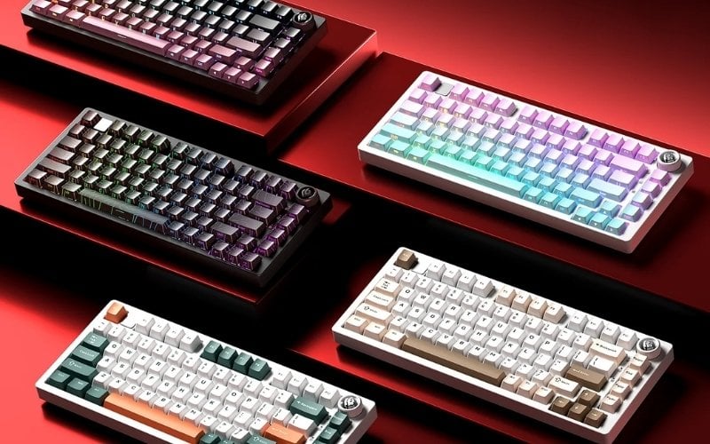 Leobog cung cấp nhiều tùy chọn màu sắc