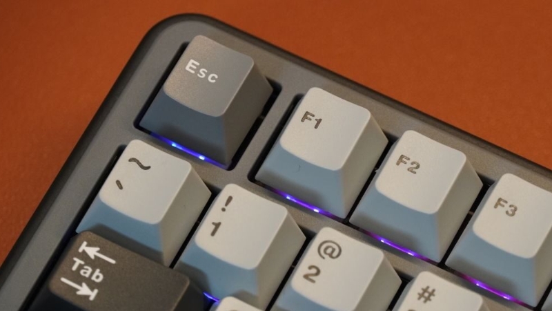 Thị trường bàn phím Rapid Trigger có nhiều phân khúc giá