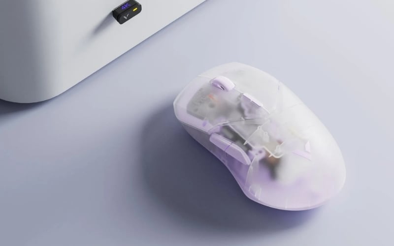 Có nhiều lựa chọn về kiểu dáng, trọng lượng và kích thước