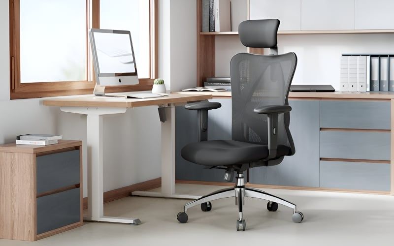 Ghế công thái học Sihoo M18