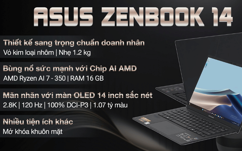 Asus Zenbook 14 UM3406KA PP113WS