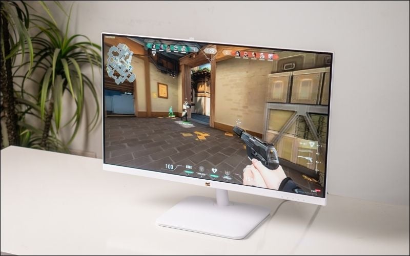 Tấm nền IPS trên màn hình 100Hz cho khả năng hiển thị sống động