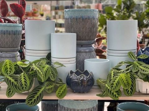 Hướng dẫn cách lựa chọn chậu cây ngoài trời cho sân vườn của bạn