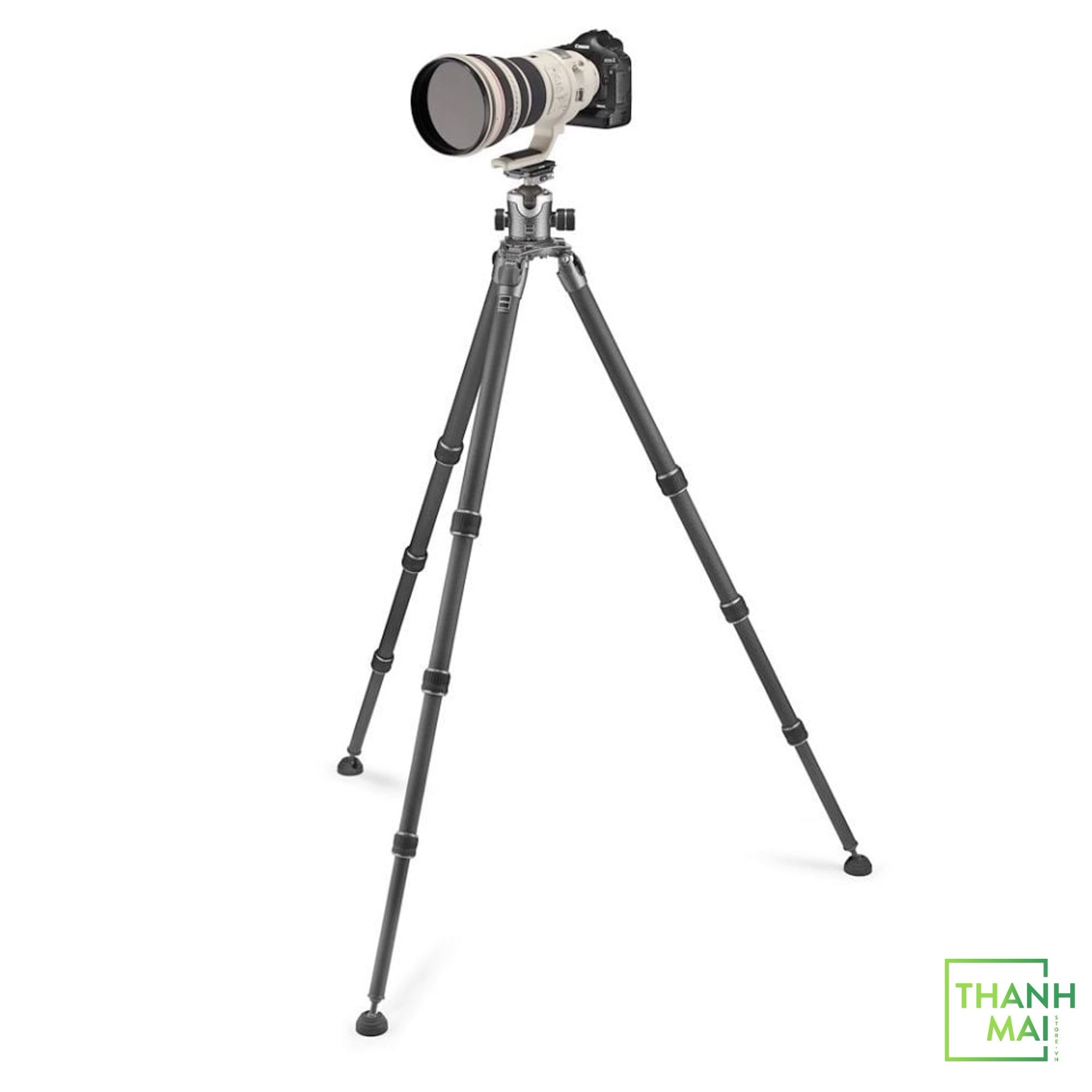 https://thanhmaistore.vn/
