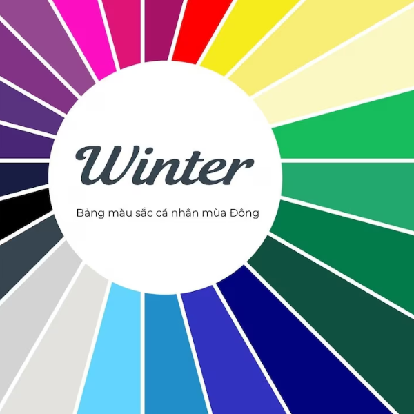 bảng màu Personal Color mùa đông