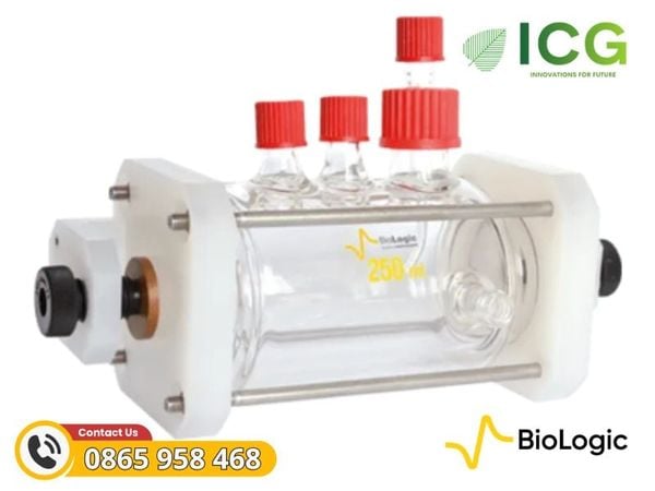 Galvanic Corrosion Cell