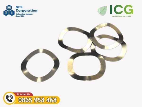 Lò xo đệm Inox MTI
