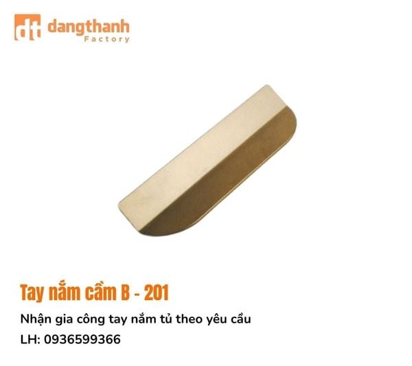 Mẫu tay nắm dạng cầm