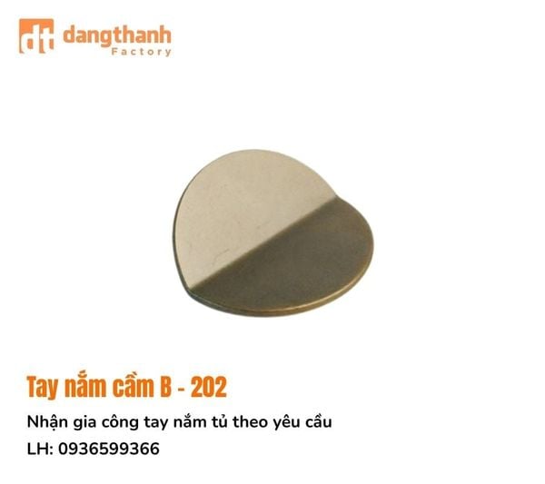 Tay nắm dạng cầm độc đáo