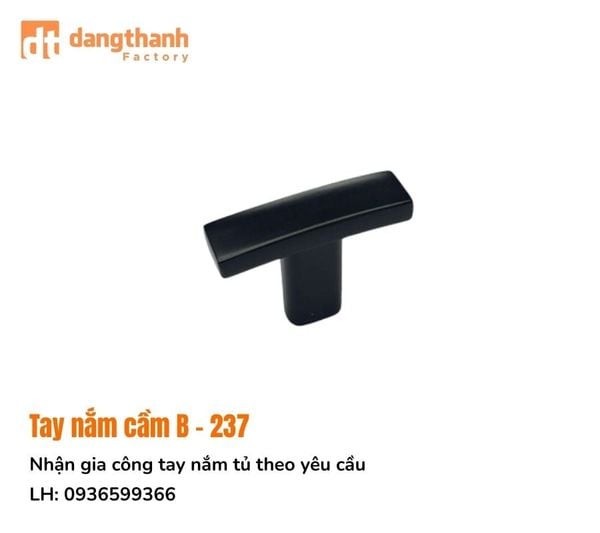 Mẫu tay nắm cầm sang trọng