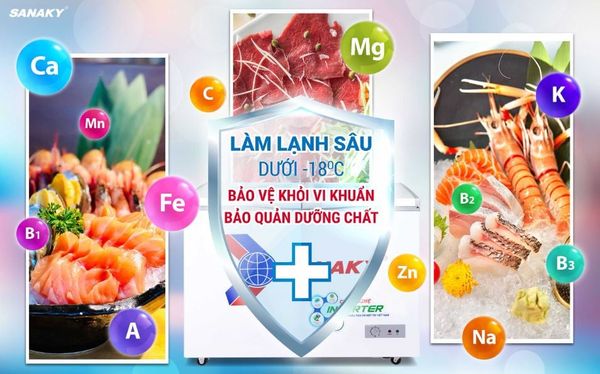 Tủ đông Inverter Sanaky VH-2899A3 280 lít