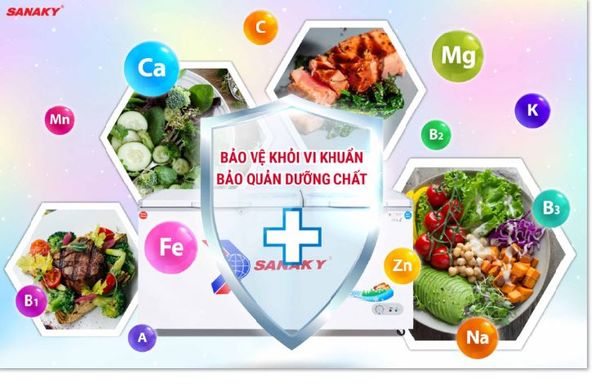 Tủ đông Sanaky VH-6699W1 660 lít