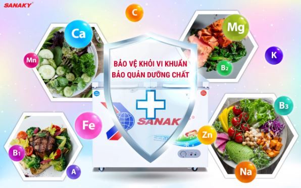 Tủ đông Sanaky VH-2599W2KD 250 lít