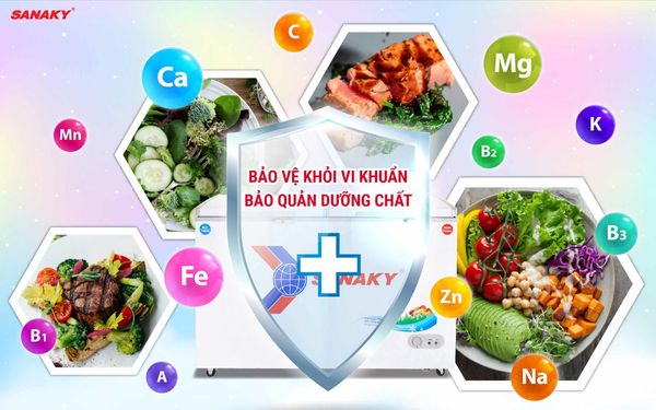 Tủ đông Sanaky VH-5699W1 560 lít